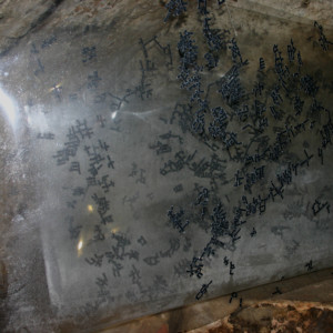 mehrere transparente Folien, Klebeband, ca. 130 x 200 cm, 2017
HÖHLERBIENNALE, Gera 2017