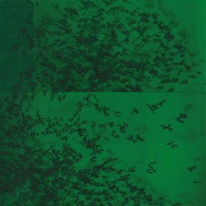 Fotos, Folie, 42 x 29,7 cm, 2017