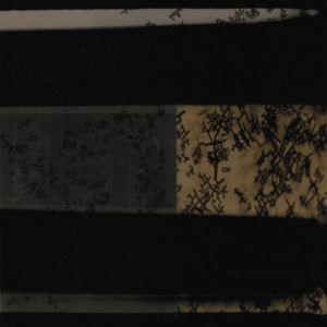 Fotos, Folie, 42 x 29,7 cm, 2017