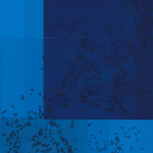 Fotogramm, Folie, 42 x 29,7 cm, 2017